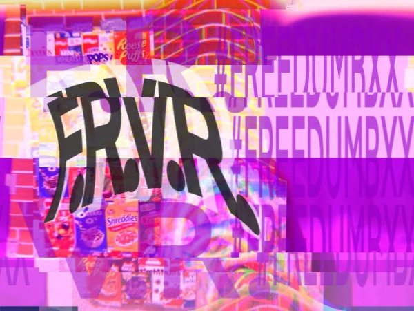 F.R.V.R. x FREEDUMBXX :&nbsp;virtualGALLERIA