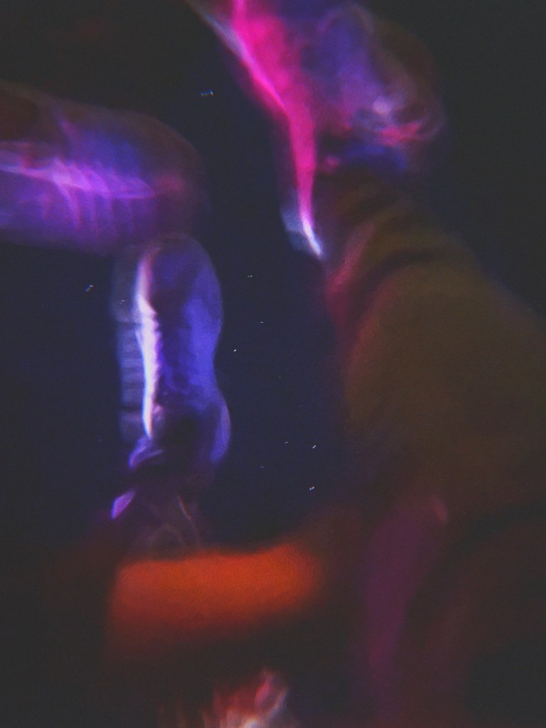 Toronto artists collective goes to live paint at festival, Sonic Springs 2024