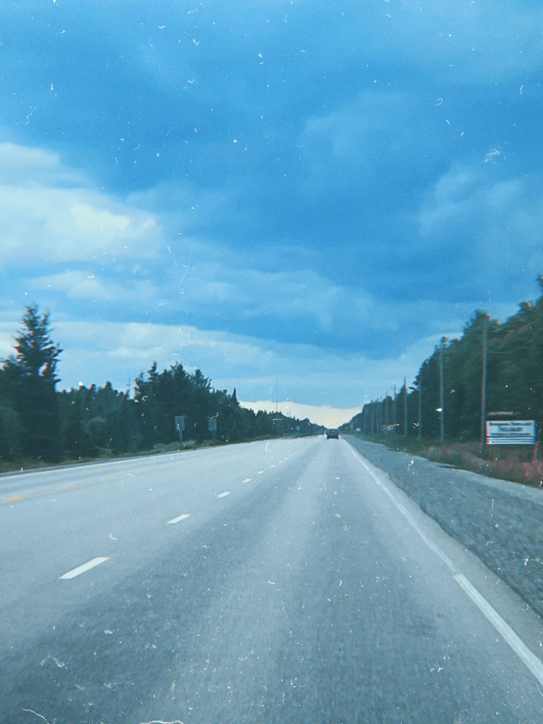 Toronto artists collective goes to live paint at festival, Sonic Springs 2024