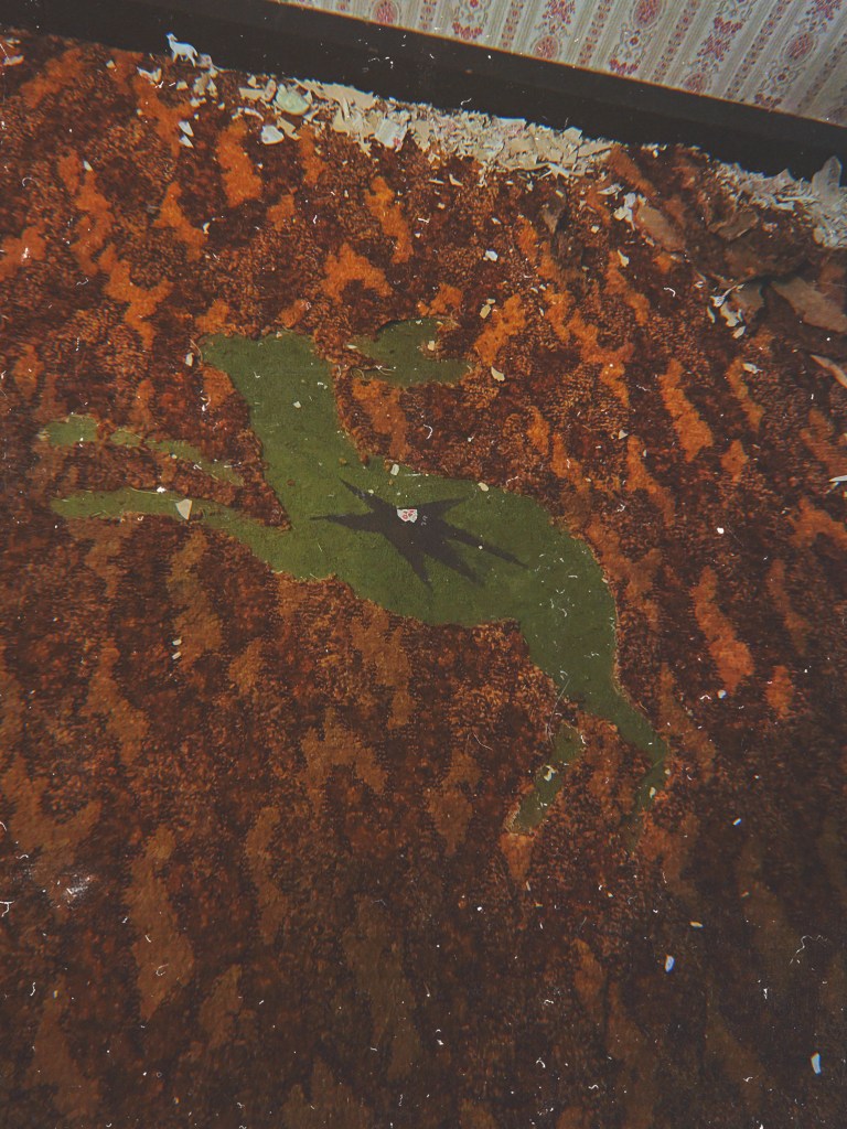 Nicholas Ridiculous exploring Art on Barton Immersive Gallery Project